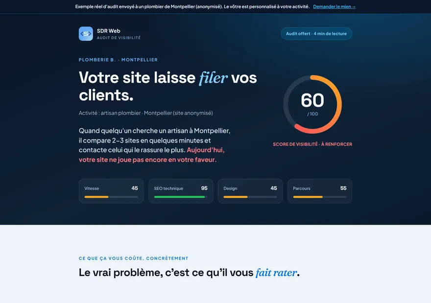 Aperçu de l'exemple d'audit : score de visibilité 60/100 d'un plombier de Montpellier