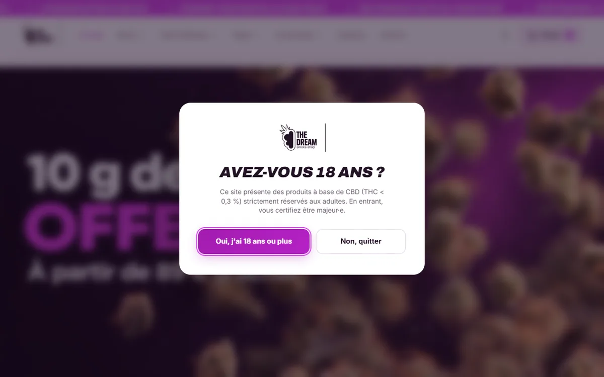 Accueil de la boutique en ligne The Dream